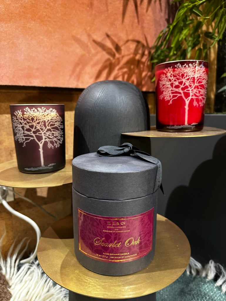 DL & CO SCENTED CANDLE (Scarlet Oak)