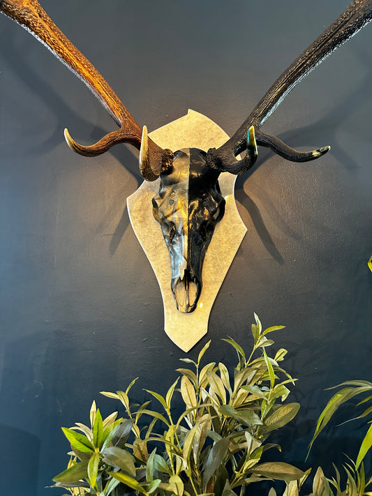 CAMO STAG WALL MOUNT