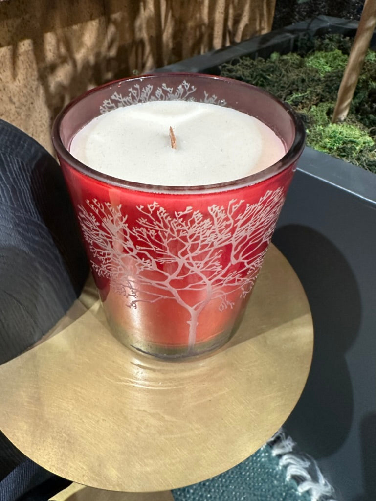 DL & CO SCENTED CANDLE (Scarlet Oak)